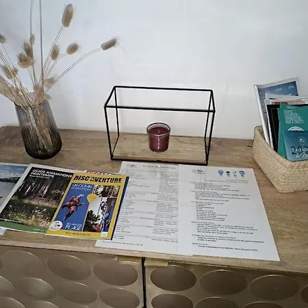 Spacieux Neuf Au Coeur De Bisca * Biscarrosse