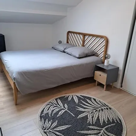 Spacieux Neuf Au Coeur De Bisca Biscarrosse