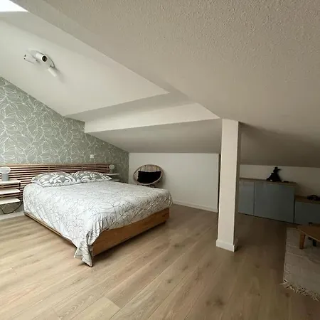 Spacieux Neuf Au Coeur De Bisca *